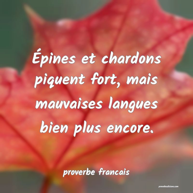  Épines et chardons piquent fort, mais mauvaises langues bien plus encore.
