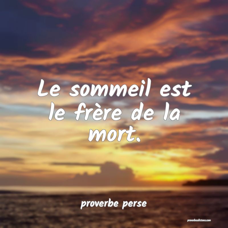 Le sommeil est le frère de la mort. 
