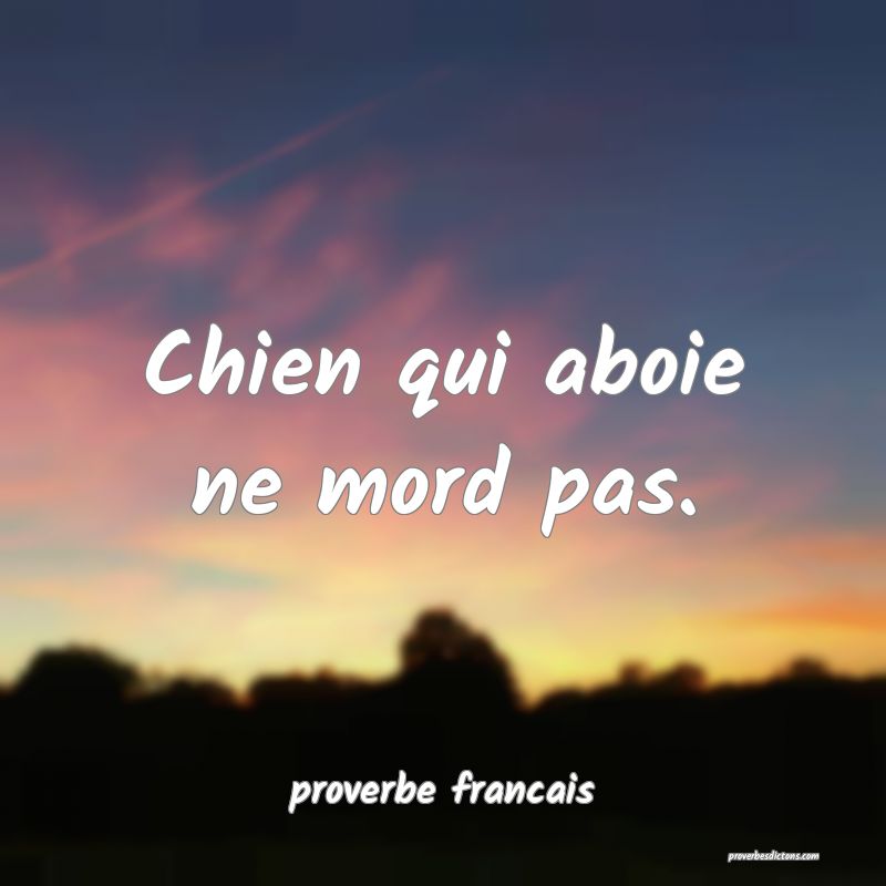  Chien qui aboie ne mord pas.