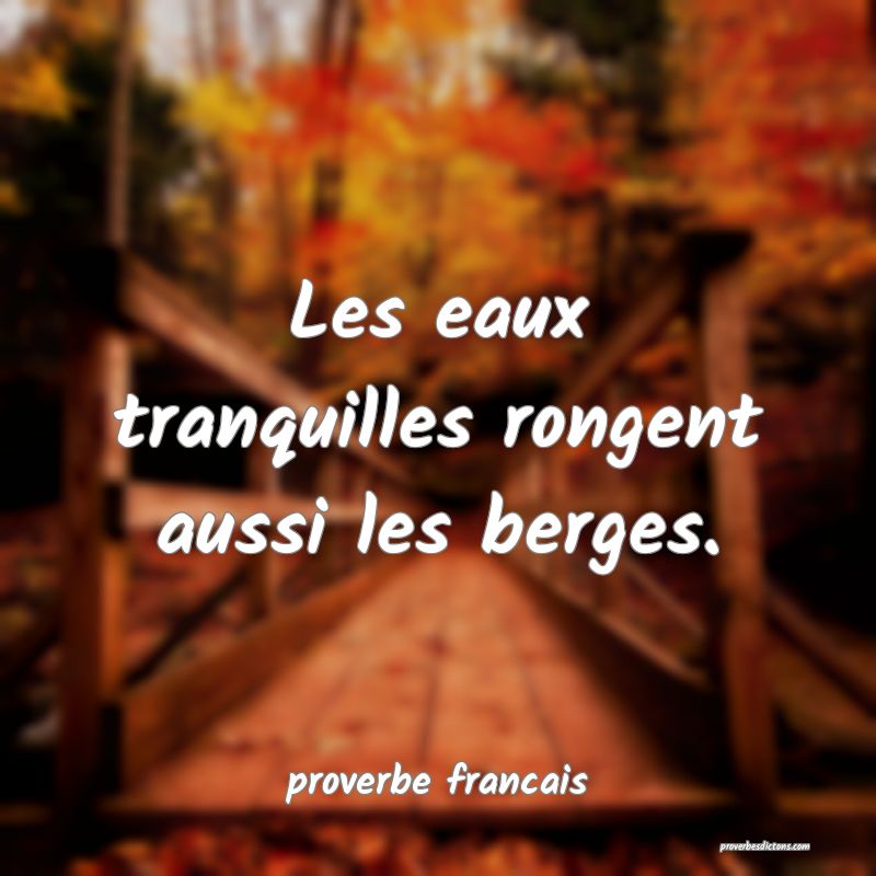  Les eaux tranquilles rongent aussi les berges.