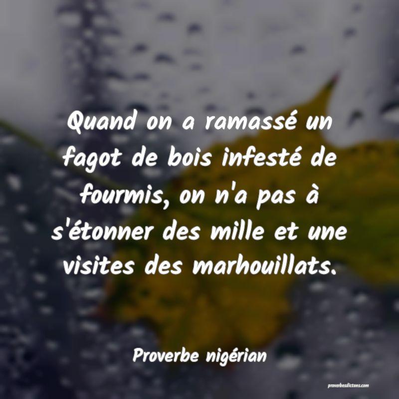  Quand on a ramassé un fagot de bois infesté de fourmis, on n'a pas à s'étonner des mille et une visites des marhouillats.