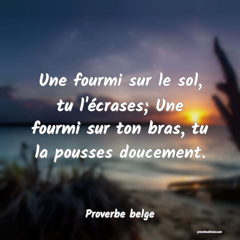  Une fourmi sur le sol, tu l'écrases; Une fourmi sur ton bras, tu la pousses doucement.