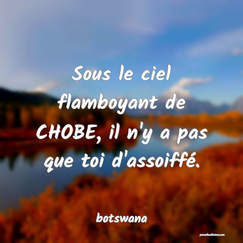 Sous le ciel flamboyant de CHOBE, il n'y a pas que toi d'assoiffé.