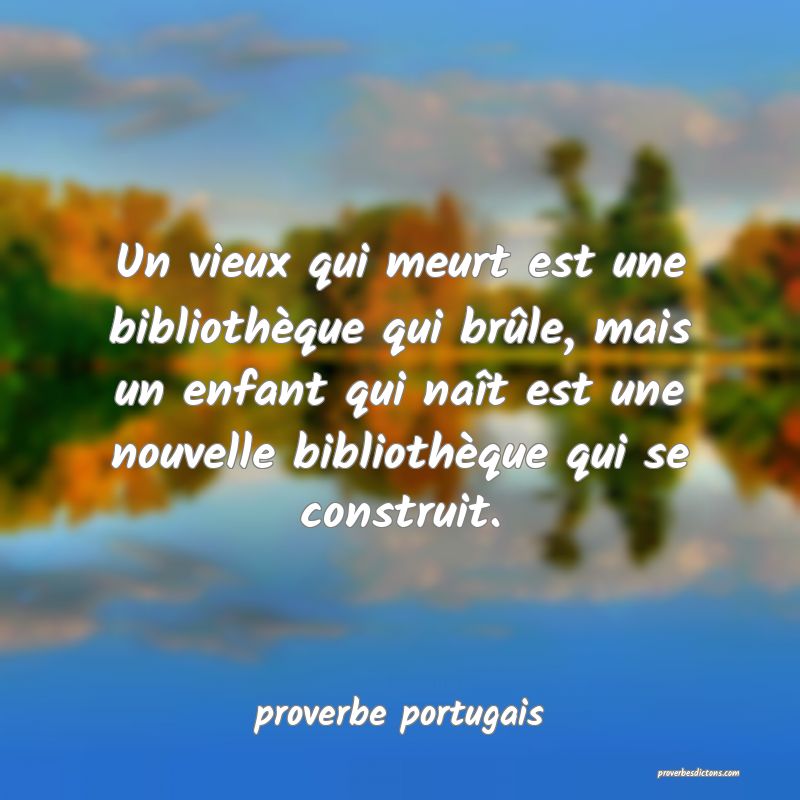  Un vieux qui meurt est une bibliothèque qui brûle, mais un enfant qui naît est une nouvelle bibliothèque qui se construit.