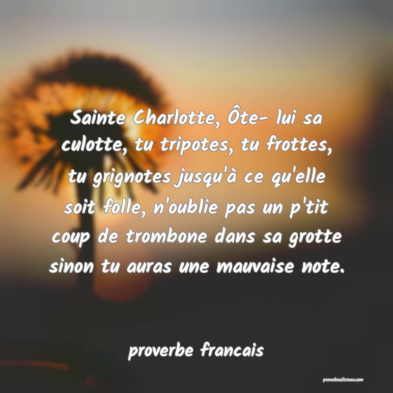 Sainte Charlotte, Ôte- lui sa culotte, tu tripotes, tu frottes, tu grignotes jusqu'à ce qu'elle soit folle, n'oublie pas un p'tit coup de trombone dans sa grotte sinon tu auras une mauvaise note.