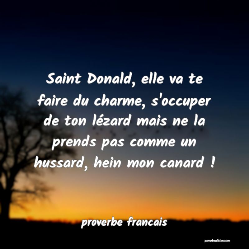 Saint Donald, elle va te faire du charme, s'occuper de ton lézard mais ne la prends pas comme un hussard, hein mon canard !