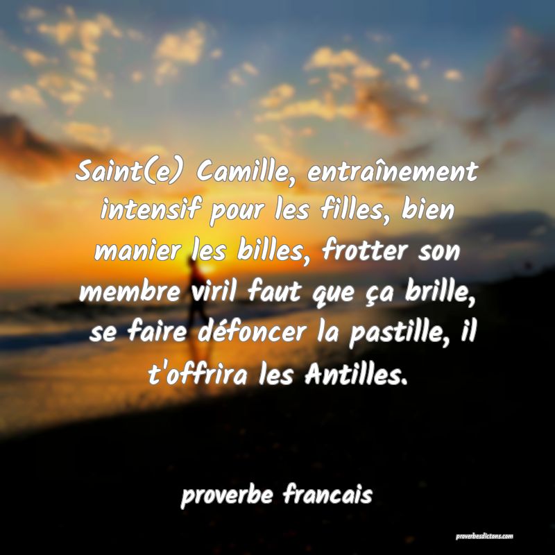 Saint(e) Camille, entraînement intensif pour les filles, bien manier les billes, frotter son membre viril faut que ça brille,  se faire défoncer la pastille, il t'offrira les Antilles.