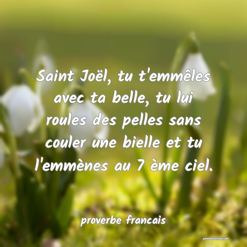  Saint Joël, tu t'emmêles avec ta belle, tu lui roules des pelles sans couler une bielle et tu l'emmènes au 7 ème ciel.