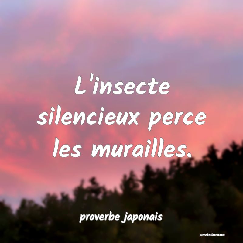  L'insecte silencieux perce les murailles.