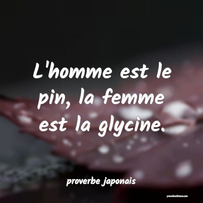  L'homme est le pin, la femme est la glycine.