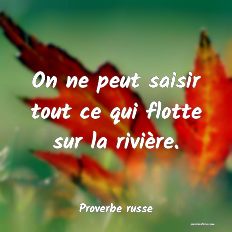  On ne peut saisir tout ce qui flotte sur la rivière.