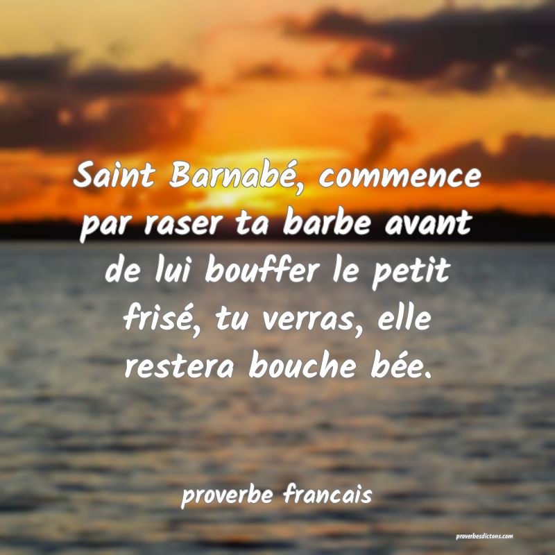  Saint Barnabé, commence par raser ta barbe avant de lui bouffer le petit frisé, tu verras, elle restera bouche bée.