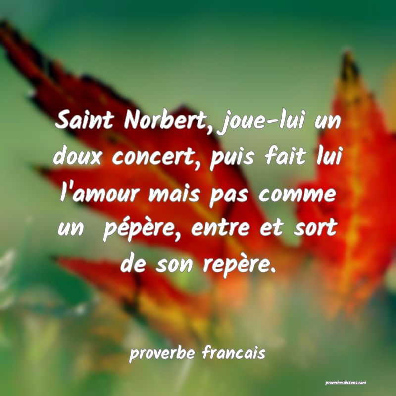 Saint Norbert, joue-lui un doux concert, puis fait lui l'amour mais pas comme un  pépère, entre et sort de son repère.