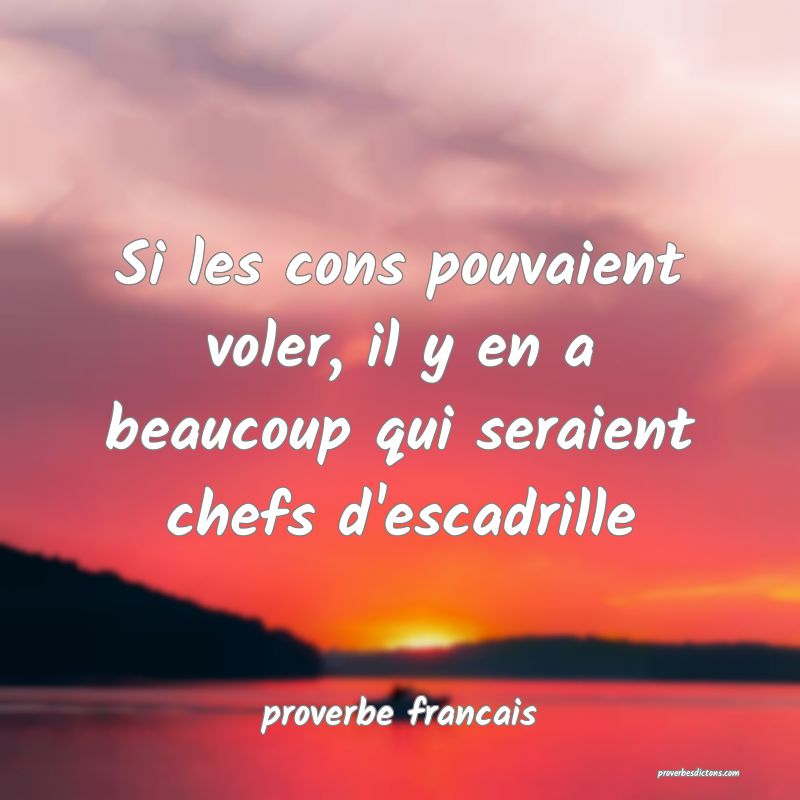  Si les cons pouvaient voler, il y en a beaucoup qui seraient chefs d'escadrille