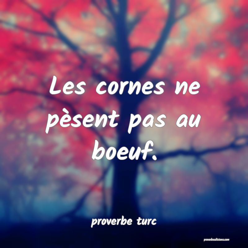 Les cornes ne pèsent pas au boeuf.