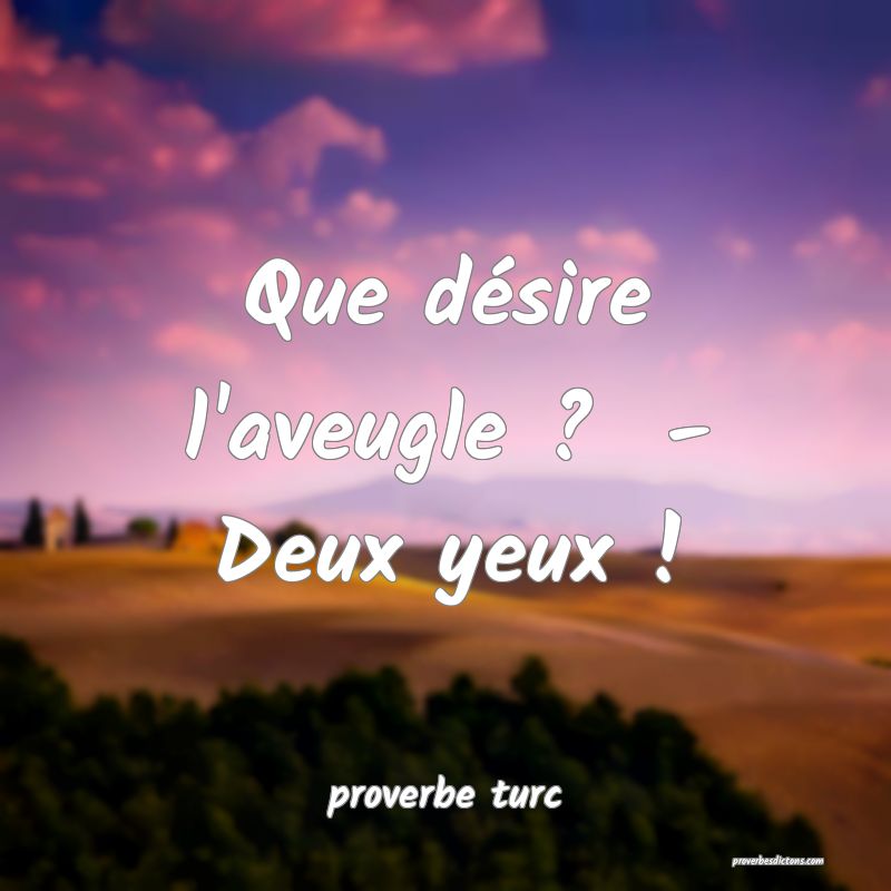  Que désire l'aveugle ?  - Deux yeux !