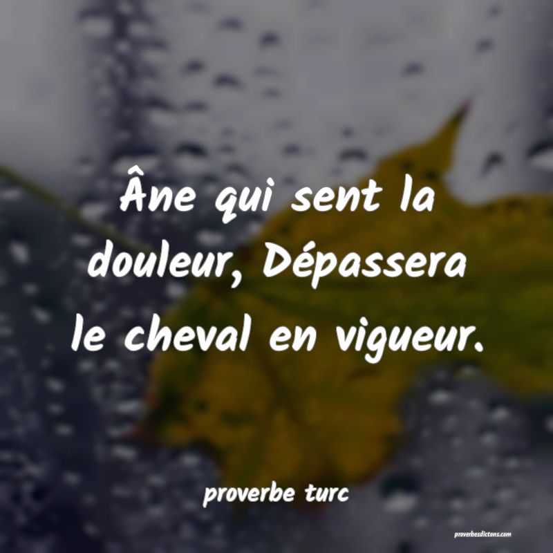  Âne qui sent la douleur, Dépassera le cheval en vigueur.