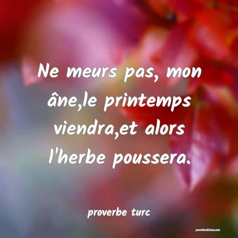 Ne meurs pas, mon âne,le printemps viendra,et alors l'herbe poussera.