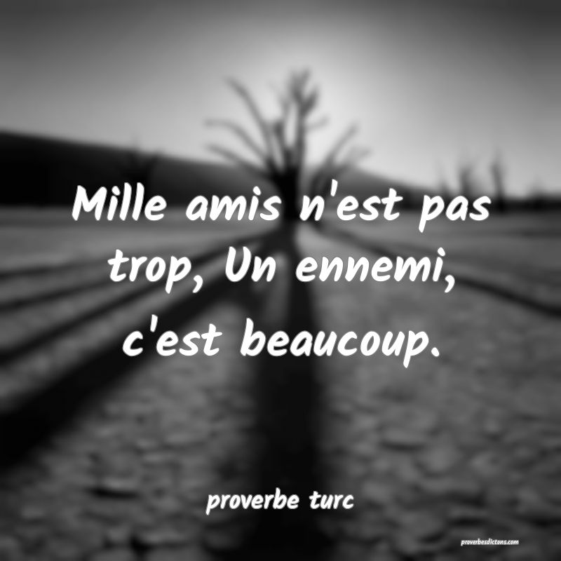  Mille amis n'est pas trop, Un ennemi, c'est beaucoup.