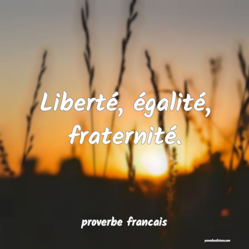  Liberté, égalité, fraternité.