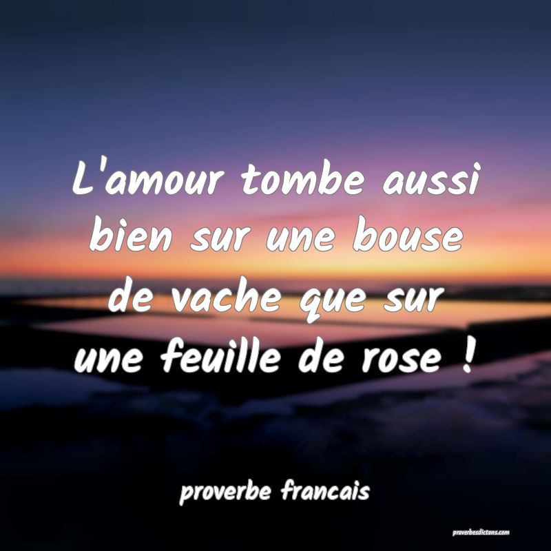  L'amour tombe aussi bien sur une bouse de vache que sur une feuille de rose !