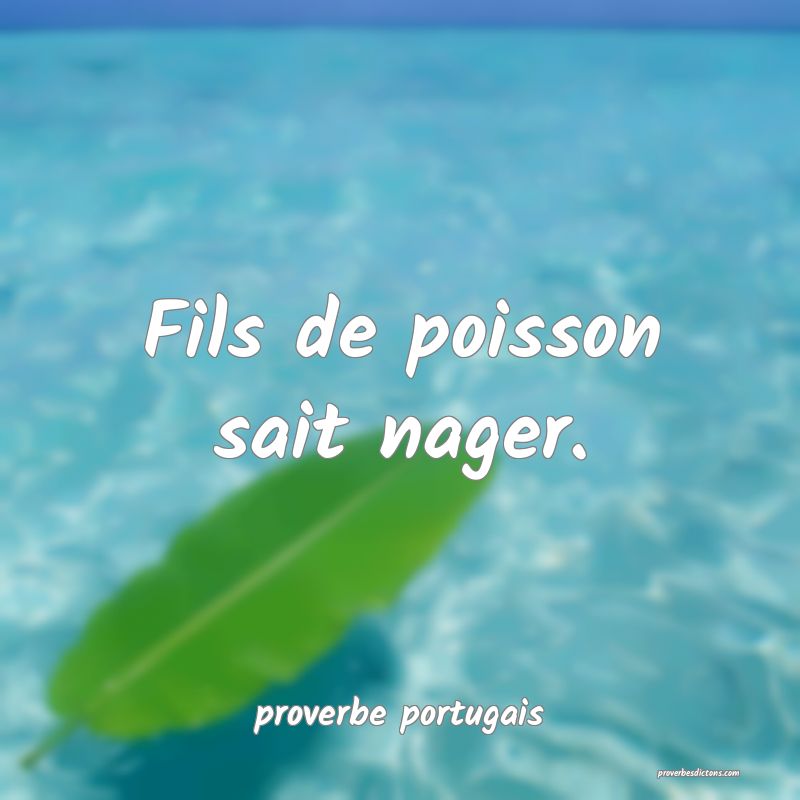  Fils de poisson sait nager.