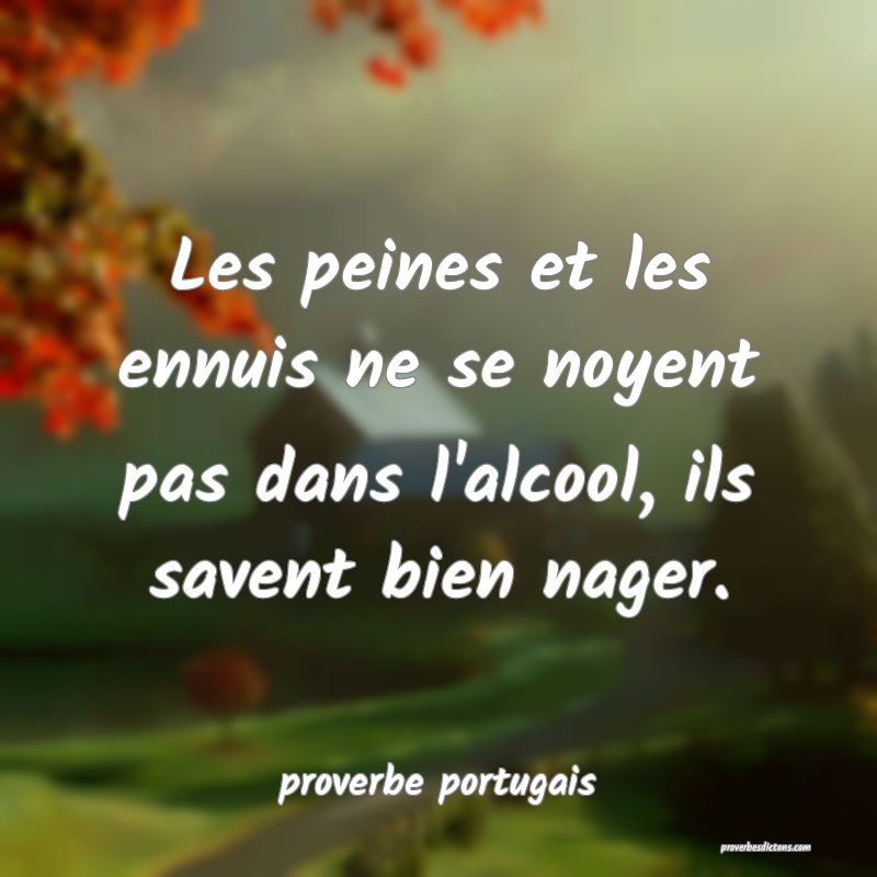  Les peines et les ennuis ne se noyent pas dans l'alcool, ils savent bien nager.