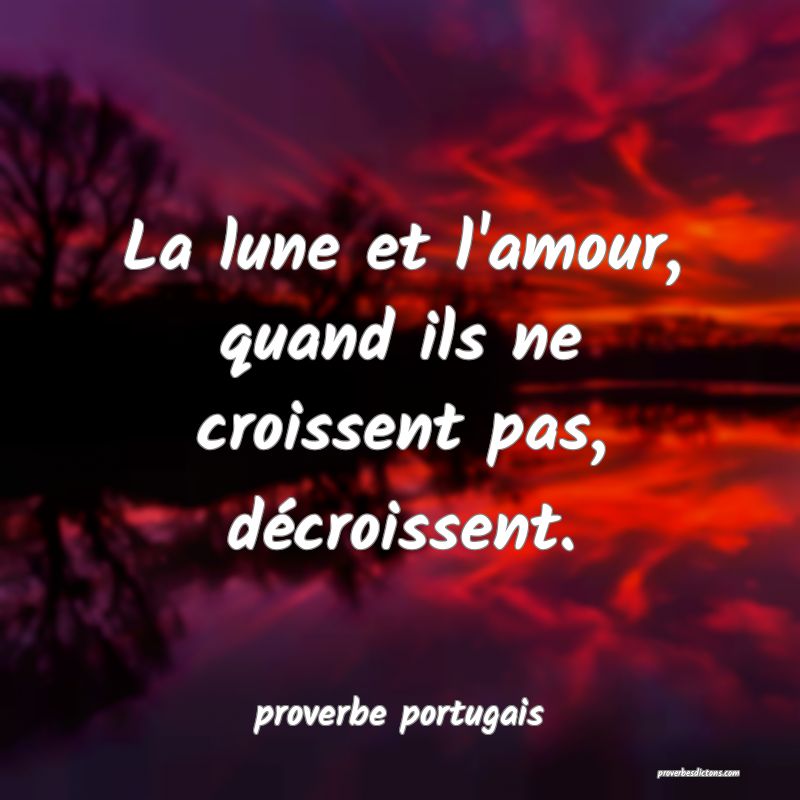  La lune et l'amour, quand ils ne croissent pas, décroissent.