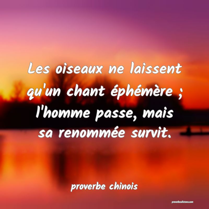  Les oiseaux ne laissent qu'un chant éphémère ; l'homme passe, mais sa renommée survit.