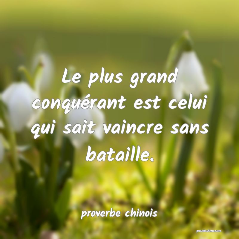  Le plus grand conquérant est celui qui sait vaincre sans bataille.