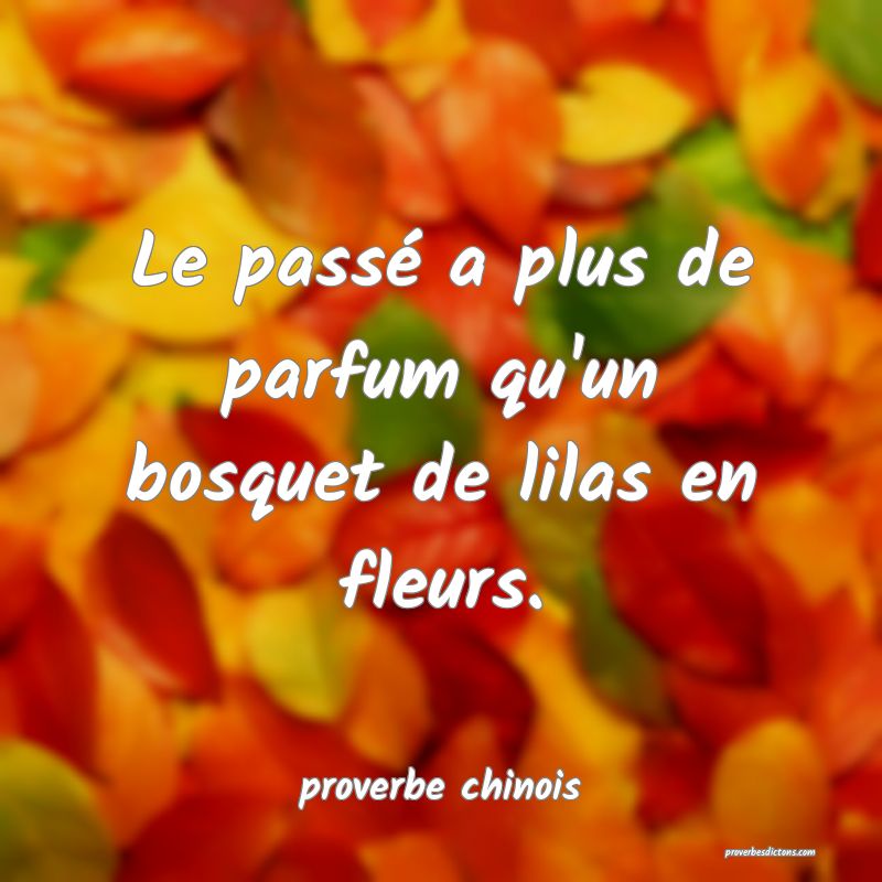  Le passé a plus de parfum qu'un bosquet de lilas en fleurs.
