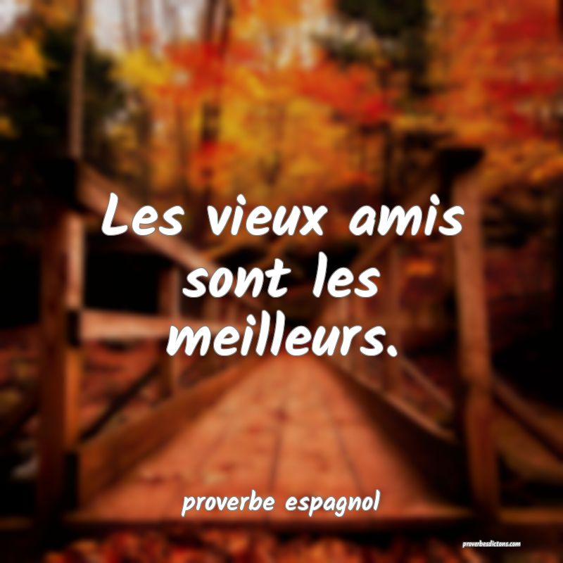  Les vieux amis sont les meilleurs.