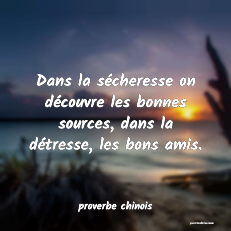  Dans la sécheresse on découvre les bonnes sources, dans la détresse, les bons amis.