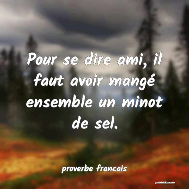  Pour se dire ami, il faut avoir mangé ensemble un minot de sel.