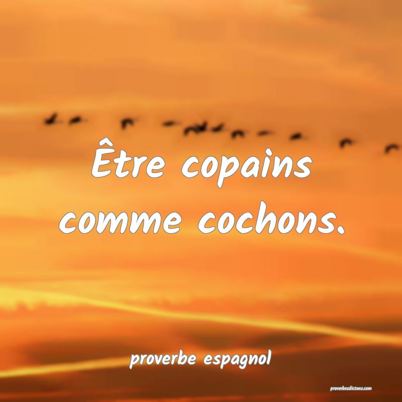  Être copains comme cochons.