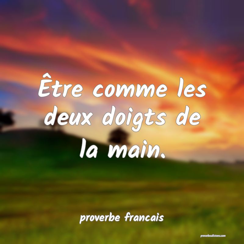  Être comme les deux doigts de la main.