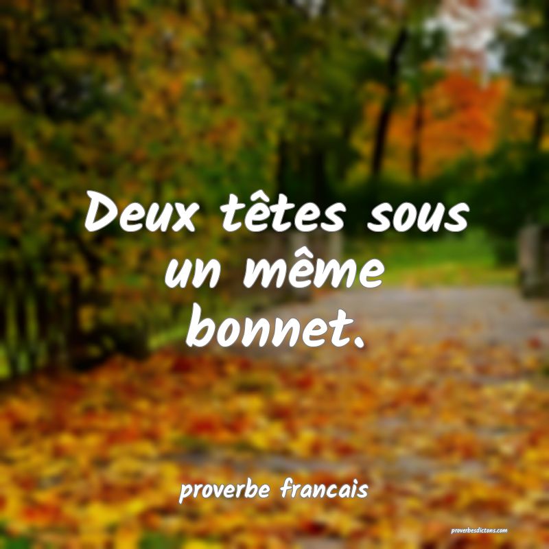  Deux têtes sous un même bonnet.