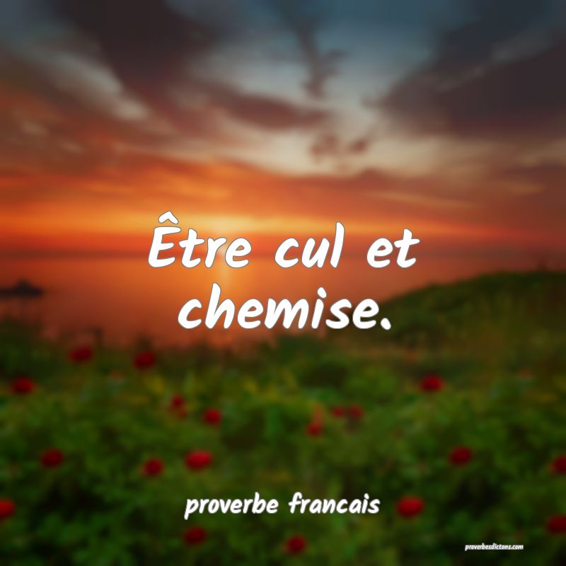  Être cul et chemise.