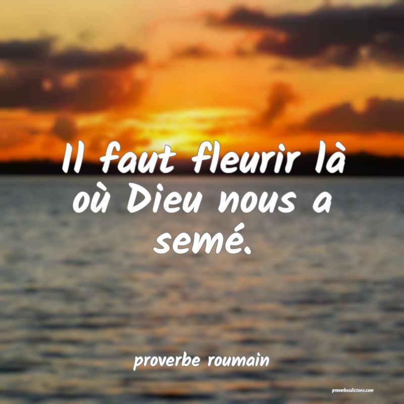  Il faut fleurir là où Dieu nous a semé.