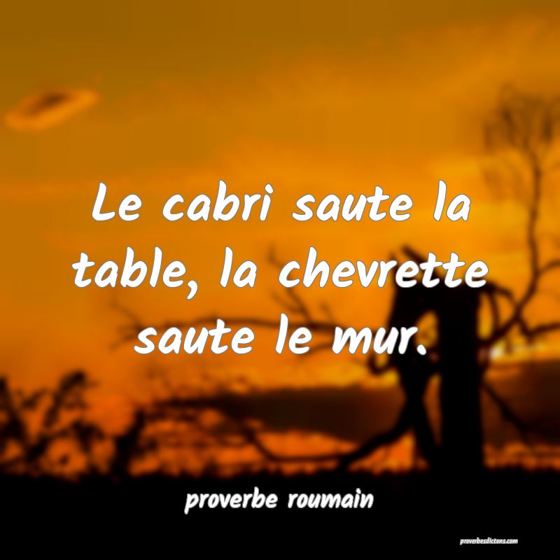  Le cabri saute la table, la chevrette saute le mur.