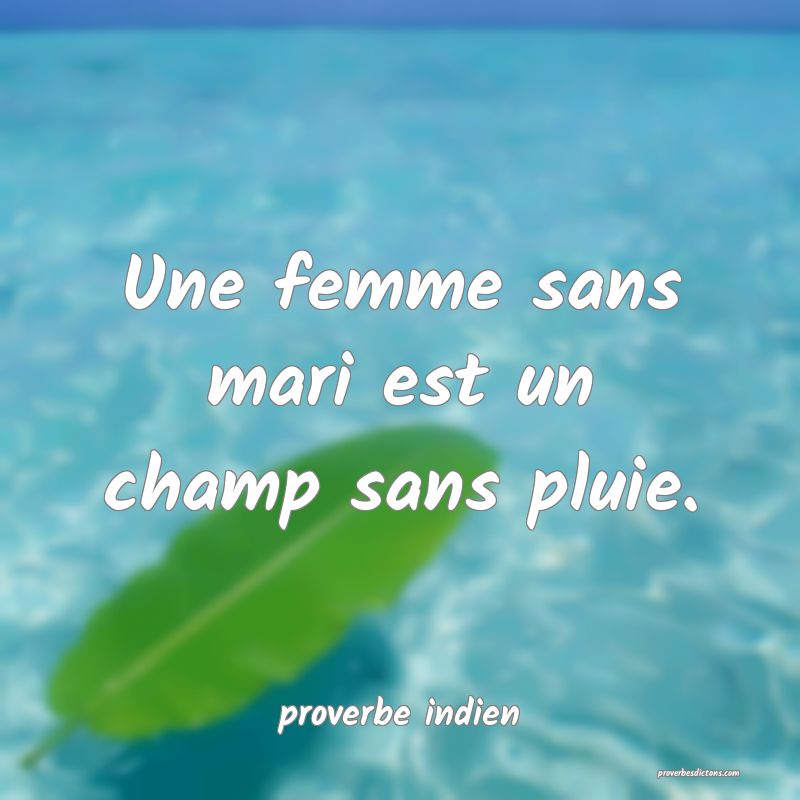  Une femme sans mari est un champ sans pluie.