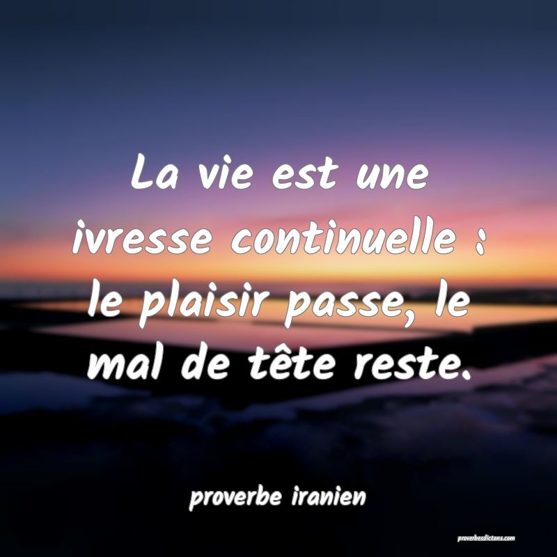  La vie est une ivresse continuelle : le plaisir passe, le mal de tête reste.