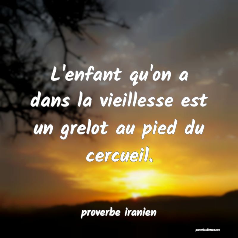  L'enfant qu'on a dans la vieillesse est un grelot au pied du cercueil.