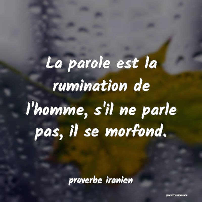  La parole est la rumination de l'homme, s'il ne parle pas, il se morfond.
