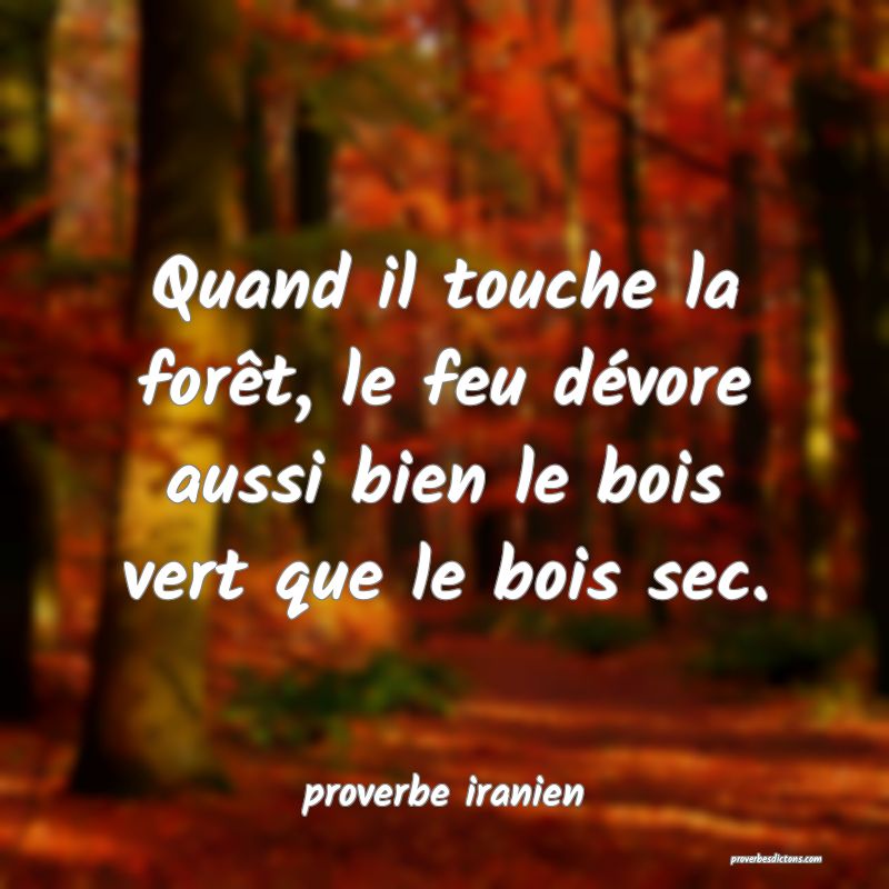  Quand il touche la forêt, le feu dévore aussi bien le bois vert que le bois sec.