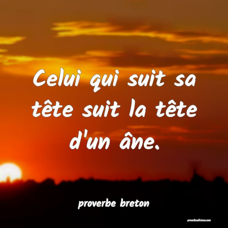  Celui qui suit sa tête suit la tête d'un âne.