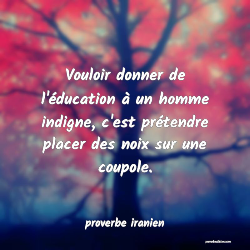  Vouloir donner de l'éducation à un homme indigne, c'est prétendre placer des noix sur une coupole.