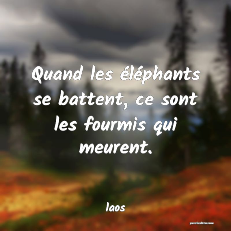  Quand les éléphants se battent, ce sont les fourmis qui meurent.