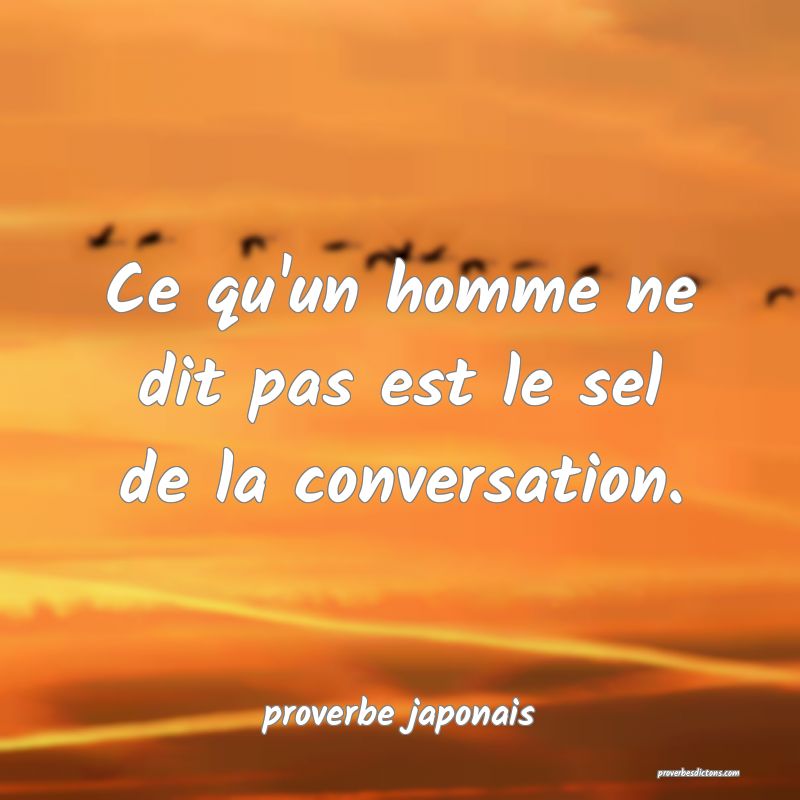  Ce qu'un homme ne dit pas est le sel de la conversation.