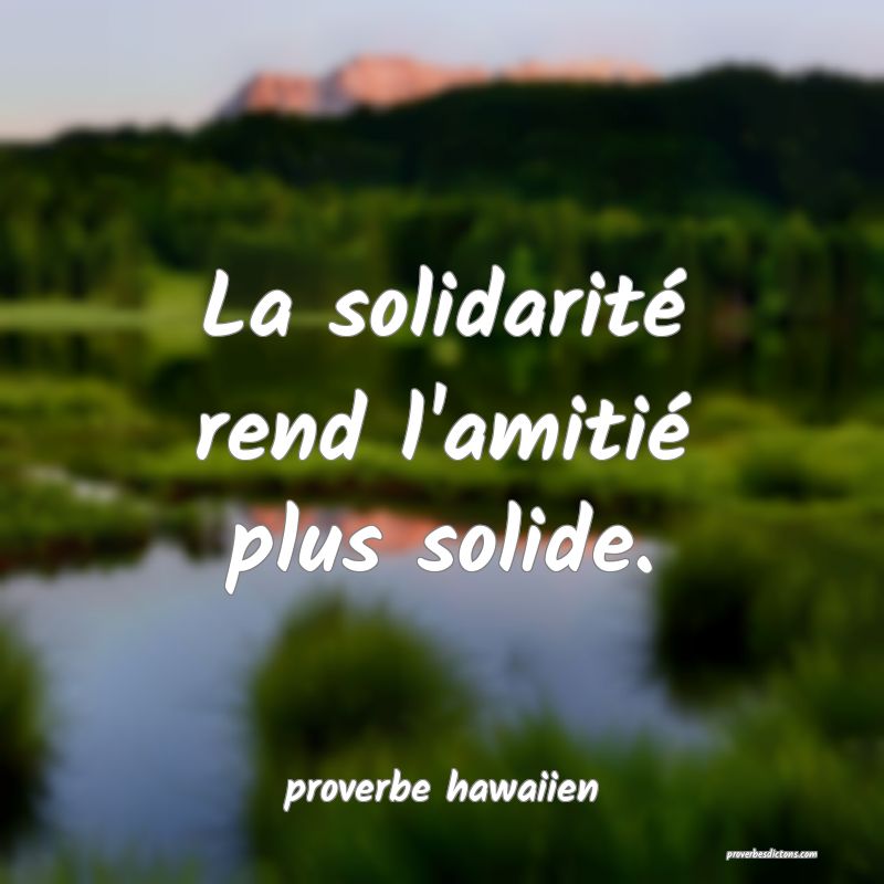 La solidarité rend l'amitié plus solide.